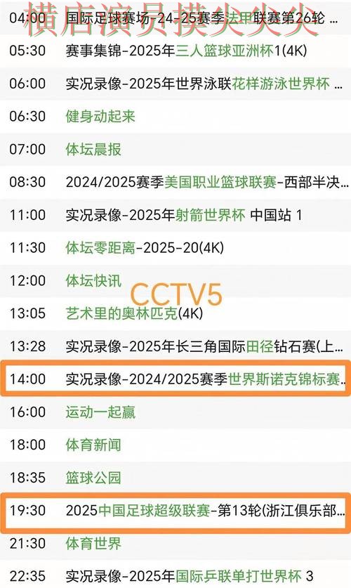 世界杯买球平台解析报告：直播入口+直播与实际体验总结 - FIFA World Cup 2026